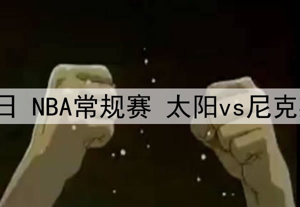 2025年3月30日 NBA常规赛 独行侠vs公牛 全场集锦